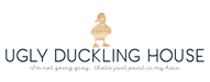 Ugly Duckling House